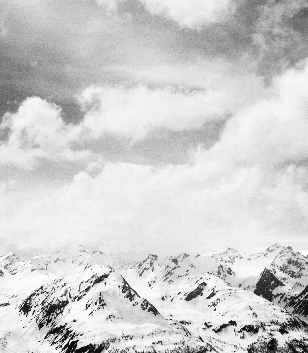 In The Wild  Lyocell T-Shirt