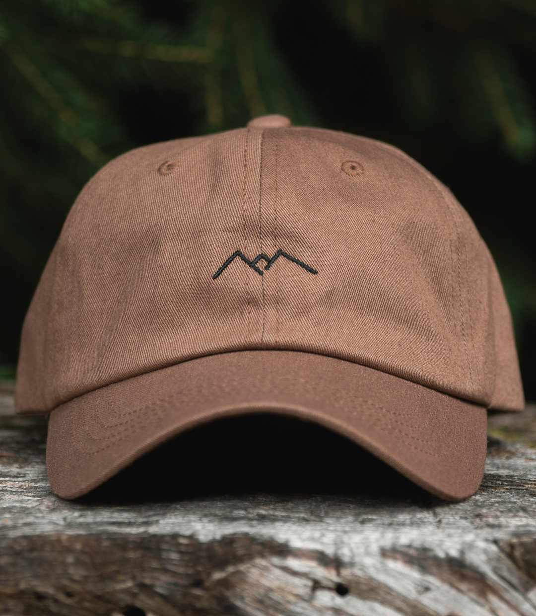 Dad Cap Mountain B