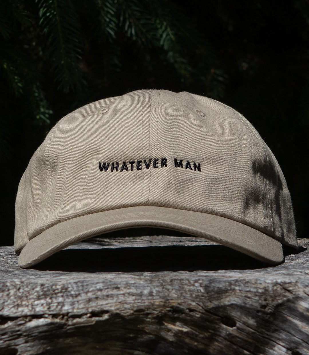 Dad Cap Product 3